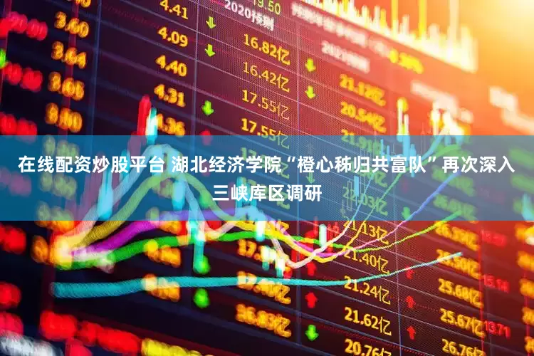 在线配资炒股平台 湖北经济学院“橙心秭归共富队”再次深入三峡库区调研