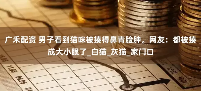 广禾配资 男子看到猫咪被揍得鼻青脸肿。网友：都被揍成大小眼了_白猫_灰猫_家门口