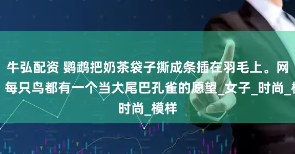 牛弘配资 鹦鹉把奶茶袋子撕成条插在羽毛上。网友：每只鸟都有一个当大尾巴孔雀的愿望_女子_时尚_模样