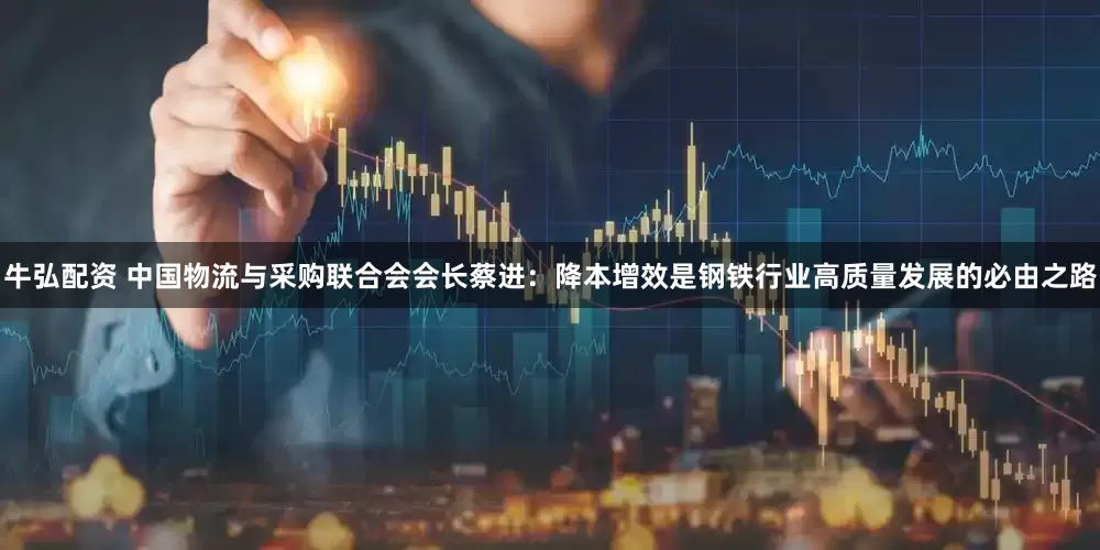 牛弘配资 中国物流与采购联合会会长蔡进：降本增效是钢铁行业高质量发展的必由之路