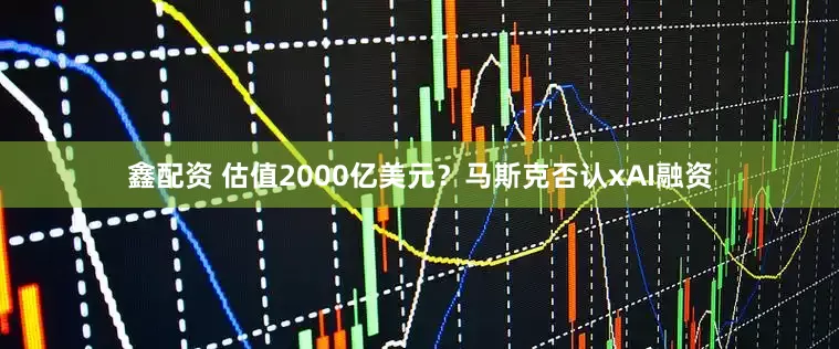 鑫配资 估值2000亿美元？马斯克否认xAI融资