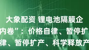 大象配资 锂电池隔膜企业共商“反内卷”：价格自律、暂停扩产、科学释放产能