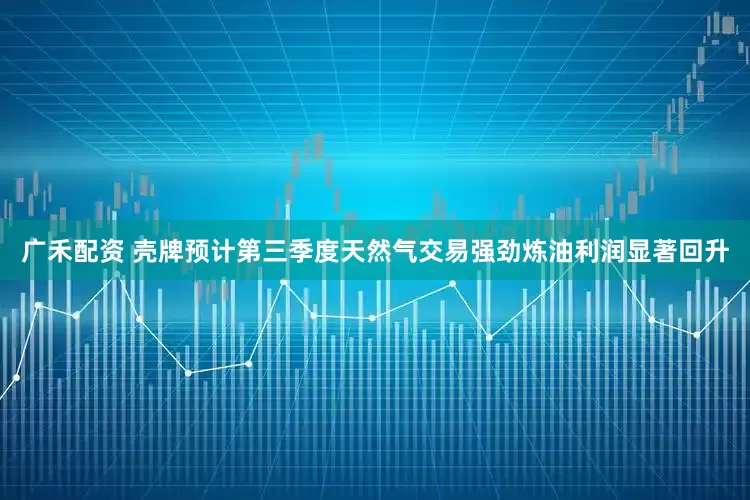 广禾配资 壳牌预计第三季度天然气交易强劲　炼油利润显著回升