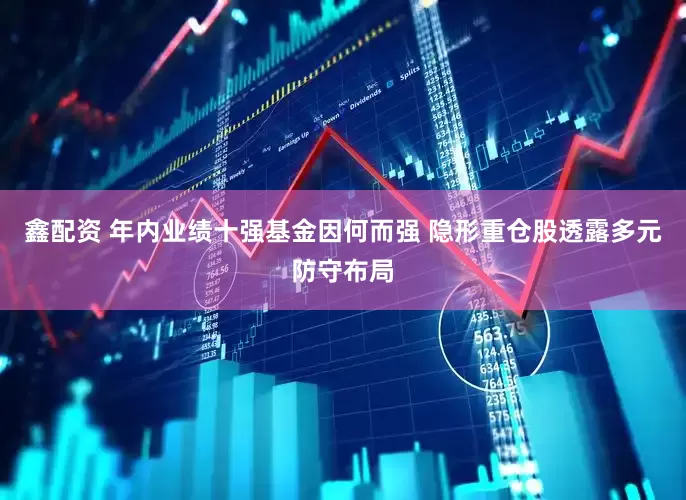 鑫配资 年内业绩十强基金因何而强 隐形重仓股透露多元防守布局
